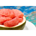 Hot Selling Citrus 2021 Chinese Grapefruit Shaddock Red Pomelo